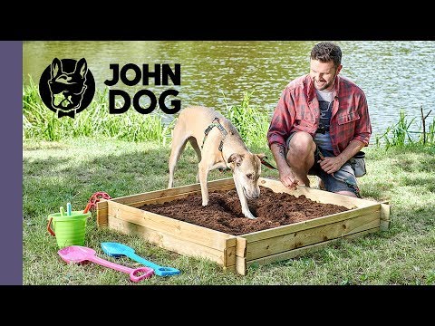 Jak oduczyć psa kopania dziur? – TRENING PSA – John Dog