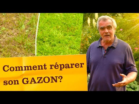 Vidéo: Entretien d'une pelouse envahie - Conseils pour réparer une pelouse envahie