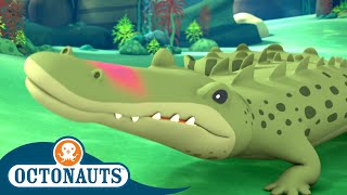 Octonauts - The Saltwater Crocodile | Cartoons for Kids | Underwater Sea Education