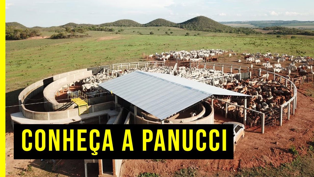 Conheça a Panucci