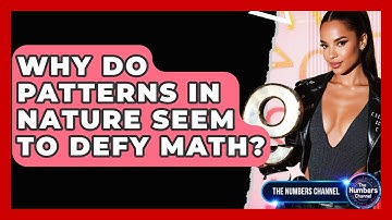Why Do Patterns In Nature Seem To Defy Math? - The Numbers Channel