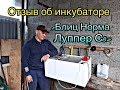 Честный Отзыв об Инкубаторе Норма Луппер С8.