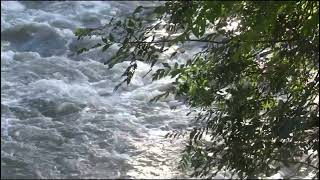 سمير جركس ع اليانة يانة   سمعها