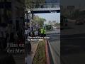 Filas en RTP por cierre del Metro CDMX