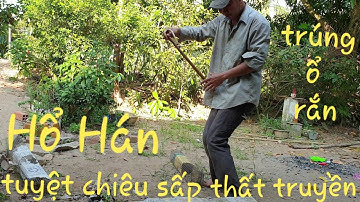 Chuyến này vô mánh. Hốt ổ rắn bự với những cái bẫy đặt gần nửa tháng | Săn bắt SÓC TRĂNG |