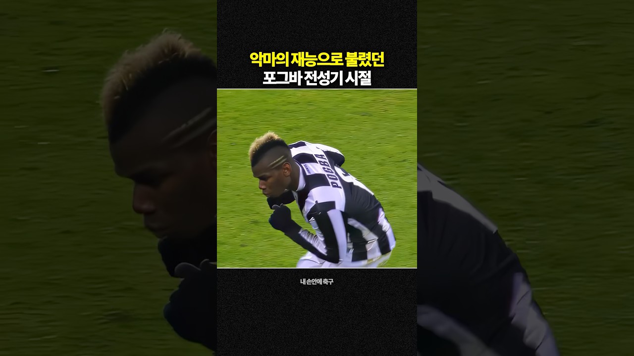 악마의 재능으로 불렸던 포그바 전성기 시절