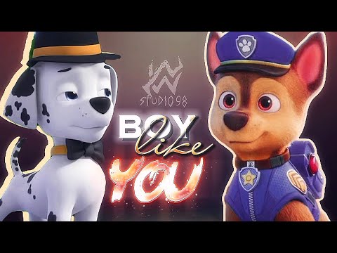 NWS98 ► MEP + 59,3k | BOY LIKE YOU || PAW Patrol all boys (OPEN 0/19)