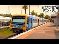 Trains at Blackburn - December 2024