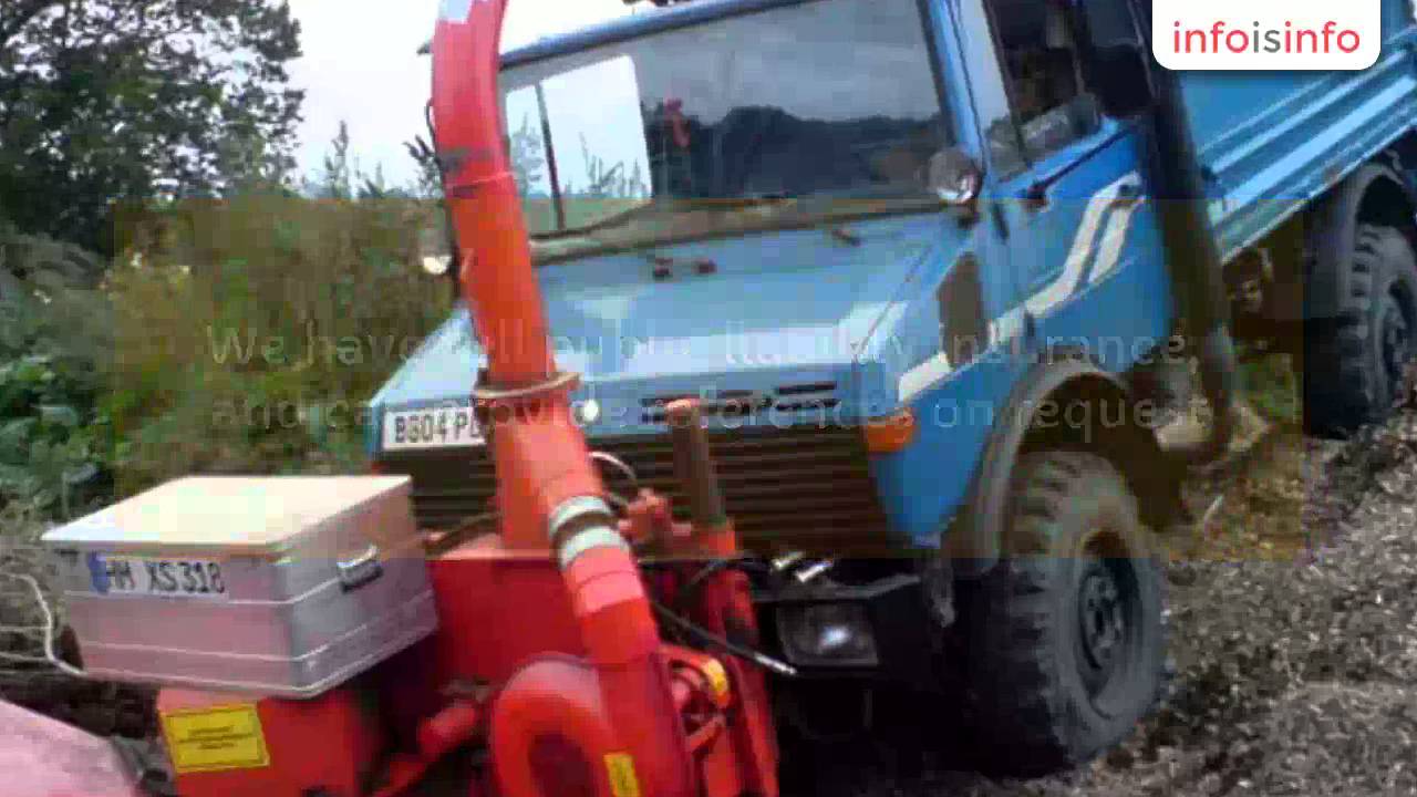 Tree Cutting in Bromley Darwin Tree Services InfoIsInfo YouTube