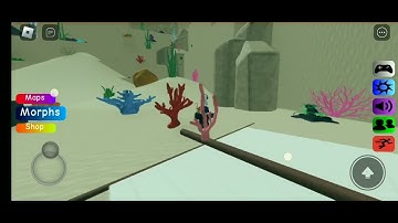 How to get Submarine Floppa in Find the Floppa Morphs(Roblox)