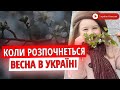 ⛅️КОЛИ ПРИЙДЕ СПРАВЖНЯ ВЕСНА: СИНОПТИК ПОЯСНИВ ПРОГНОЗ ПОГОДИ