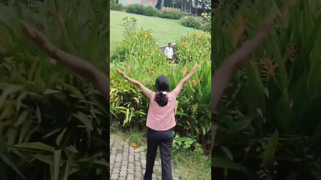 The Hidden place of Karbi Anglong🍃😍#beautyofnature #northeastindia #shortvideo #subscribers #viral