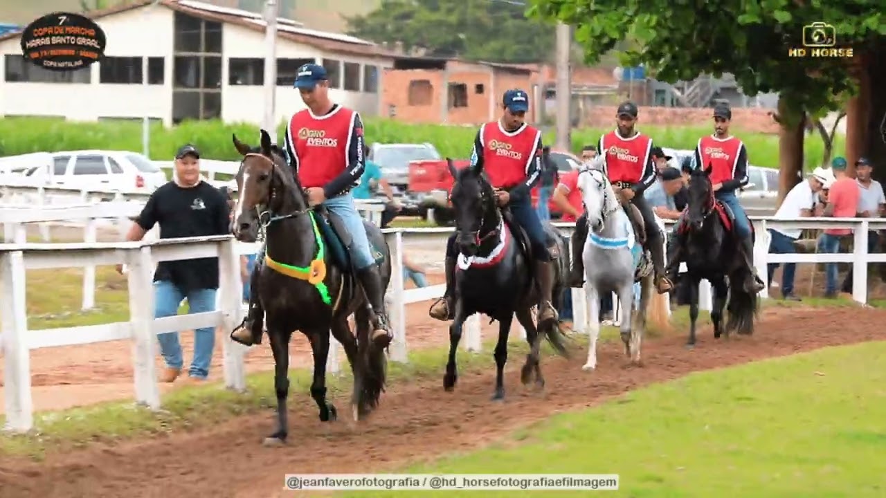 CAMPEÃO CAT. CAVALO CASTRADO E 1° Pr CAMPEÃO DOS CAMPEÕES ESCUDERO TREVISO PROP. AMANDA TOMAZINI