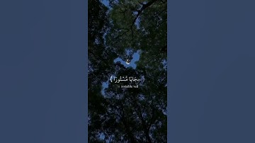 القارئ : سعيد الخطيب