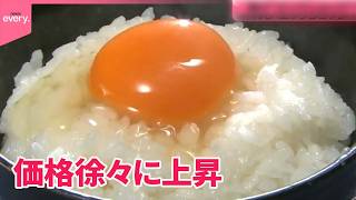 再び“エッグショック”か…】たまごの価格が徐々に上昇 鳥インフル拡大の