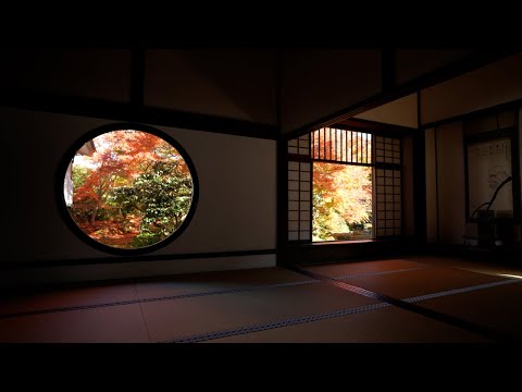 京都 源光庵 紅葉(4K) カエデ・エリシア京都 caede|L’ELISIR KYOTO[Genkoan, Kyoto Red Leaves]