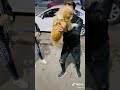 انا عمري ما اخاف من كلب المنتن الصغير