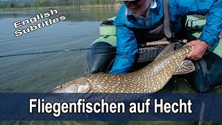 Fliegenfischen auf Hecht mit Rudi Heger - inkl. LIVE BISSE und GROSSHECHT - Tipps &amp; Ausrüstung
