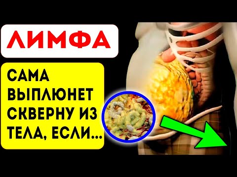 Лимфа Крепко Густеет, Если... Лимфатическая Система И Полное Очищение Организма