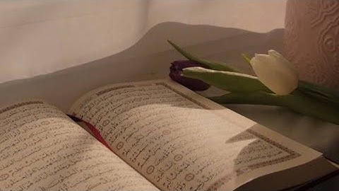 سورة الفاتحة بصوت مريح جدا #قران_كريم #القرآن_الكريم #اكسبلور #ارح_قلبك #السعودية