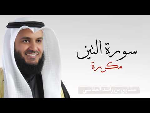 سورة التين مكررة ٧ مرات بصوت القارئ مشاري راشد العفاسي