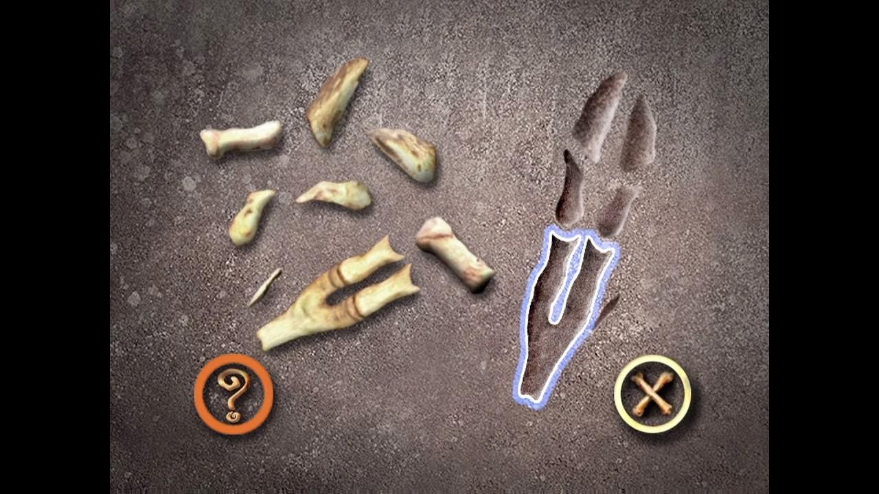 Bone Puzzle DVD Gameplay YouTube