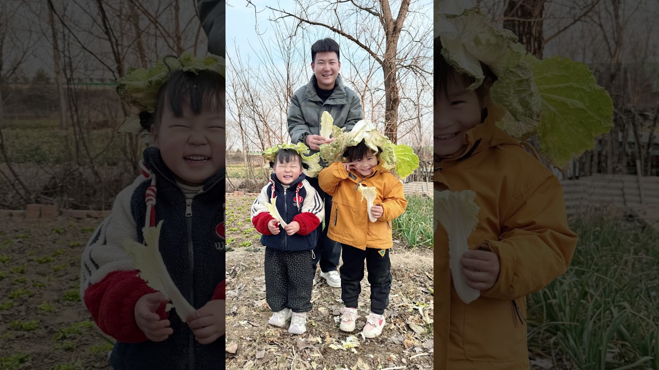 一场降温把好多白菜都冻坏了，一家人起白菜喂老鹅。 #分享镜头里的爱意 #平淡治愈的乡村生活 #用人间烟火气打开我的乡村生活 #乡村生活里的惬意松弛 #乡村生活也可以很治愈