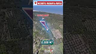BURSA MUDANYA MESUDİYE DENİZ MANZARALI 2.009 M² SATILIK ARAZİ