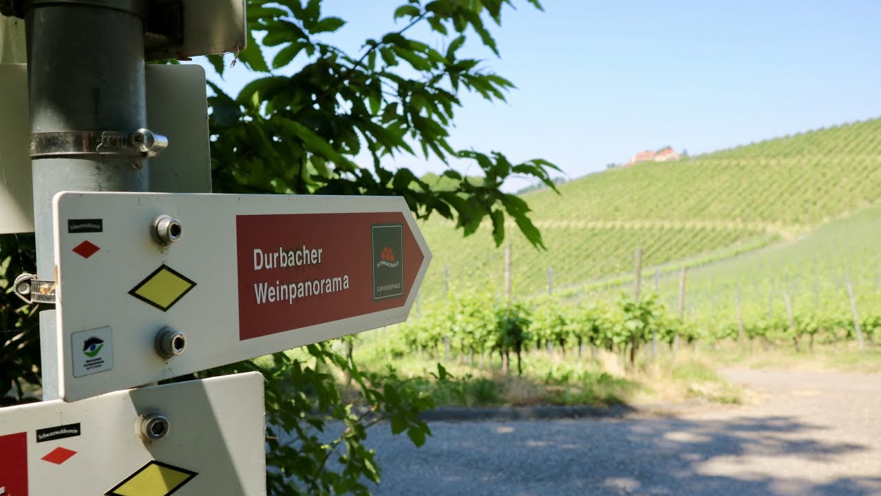 Der Schwarzwälder Genießerpfad und Premiumwanderweg "Durbacher Weinpanorama"