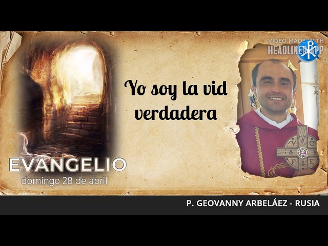 Evangelio de hoy, 28 de abril de 2024 | Yo soy la vid verdadera