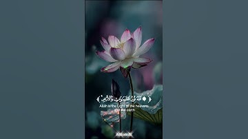 ارح سمعك و قلبك 🤍 قرآن كريم 🤍 اكتب شيئا تؤجر عليه 🤍