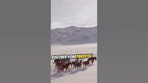 "The two most important days in your life" #psychology101 #motivation #psychologymindfacts  #quotes