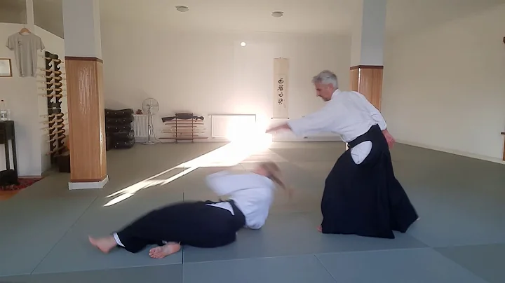 Aikido Yokomen (Frank)