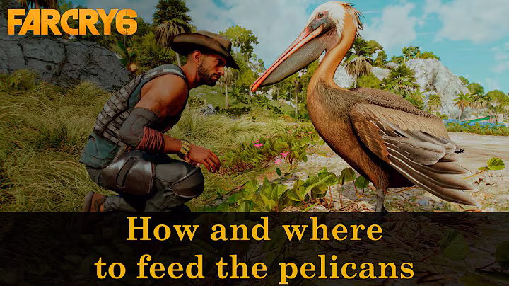 How and where to feed the pelicans - Shock Therapy | Far Cry 6