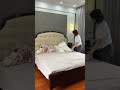 吃人的嘴短拿人的手短,以后怎么办?!周小帅小帅家的大狼狗们