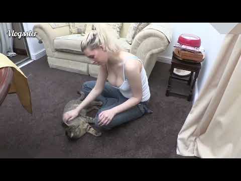 Downblouse - Girl is caressing the cat