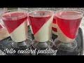 POSTRE DE GELATINA PARA NEGOCIO/ GELATINAS PARA VENDER / POSTRE DE GELATINA/Jello Custard Pudding