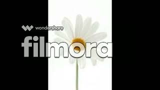 Soft Album photos screenshot 5