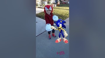sonic destroys knuckles