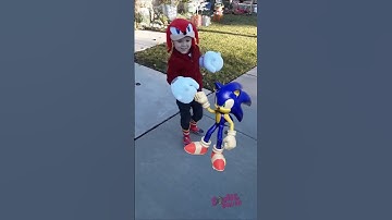 Thumbnail of sonic destroys knuckles