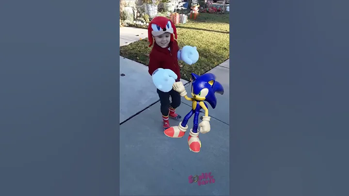 sonic destroys knuckles