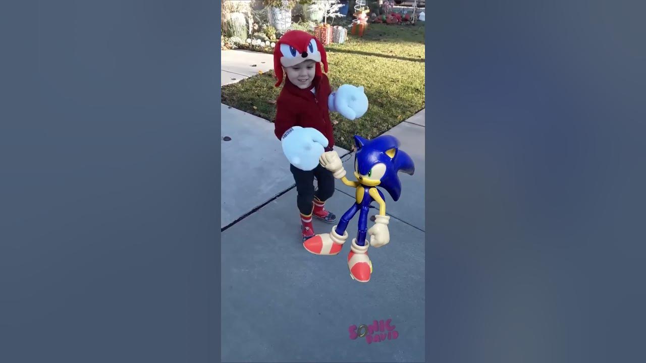 sonic destroys knuckles