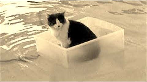 Windows Live Movie Maker Visual Effects