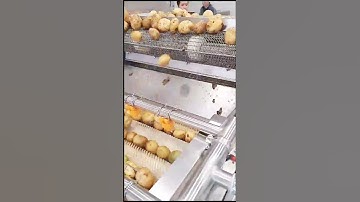 Potato Washing Drying Sorting Packing Processing Line