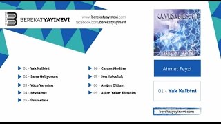 Ahmet Feyzi - Aşığın Oldum Resimi