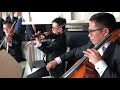 String Trio - pop &amp; tango (IC)