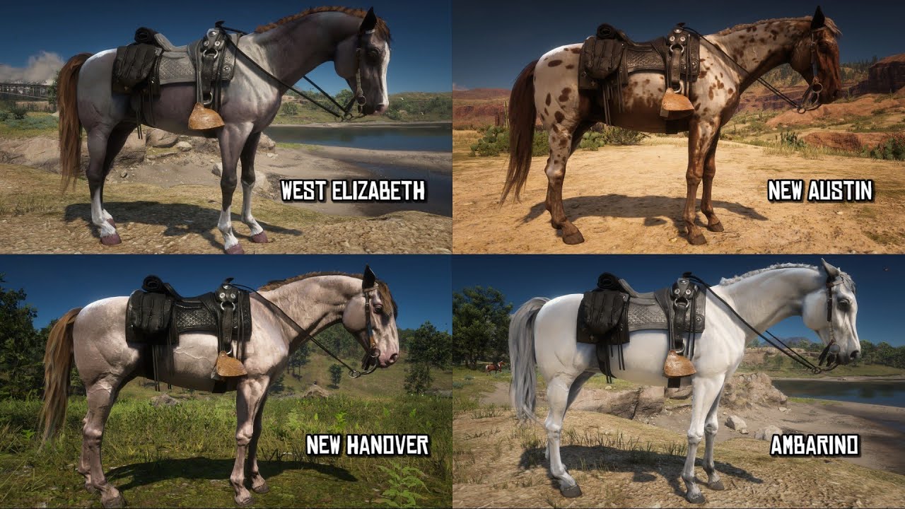 Perfect Horses for Each Region | Red Dead Redemption 2