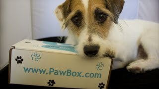 Jesse gets a PawBox! *Coupon Code in the Description =o)