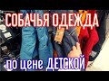 собака в доме| обзор цен на товары для животных