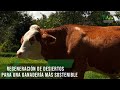 Regeneración de desiertos para una ganadería más sostenible - TvAgro por Juan Gonzalo Angel Restrepo